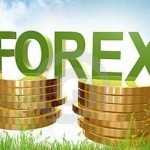 Инвестиции в Форекс и как вложить в ПАММ счета выгодно?