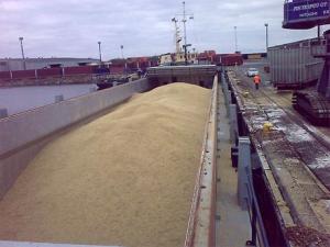 Экспорт российской пшеницы сократился в 2.4 раза