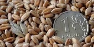 Правительство поручило начать интервенции по закупке зерна