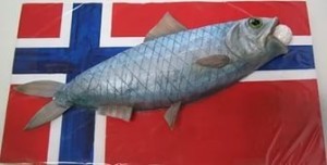 Россельхознадзор проверит производителей рыбной продукции из Норвегии