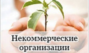 Кабмин выделил свыше 620 млн рублей для предоставления НКО
