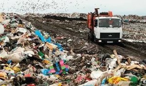 Проблемы захоронения мусора в Подмосковье