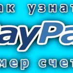 Обзор способов, которые помогут узнать номер счета PayPal