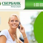 Какую информацию можно узнать по горячей линии Сбербанка России по телефону