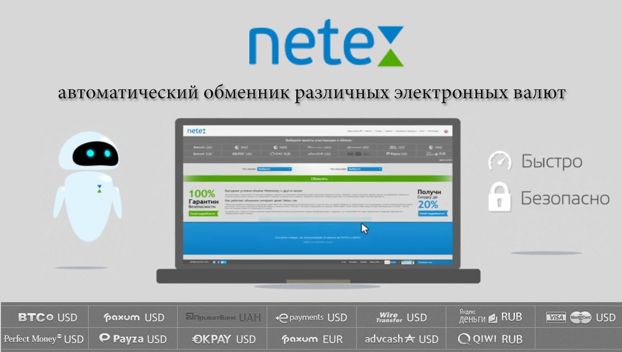 Netex. Netex Learning. АВТООБМЕННИК. Видео Обменник. Сайт обменен