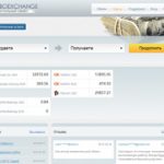 Обменник RoboExchange.com: заслуживает ли он доверия? Какие валюты здесь можно обменять? Каковы отзывы клиентов?
