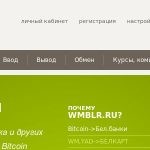 Обменник WmBlr.ru: заслуживает ли он доверия? Какие валюты здесь можно обменять? Что говорят реальные пользователи сервиса?